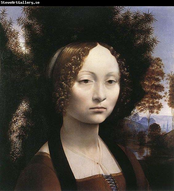 LEONARDO da Vinci Portrait of Ginevra de Benci